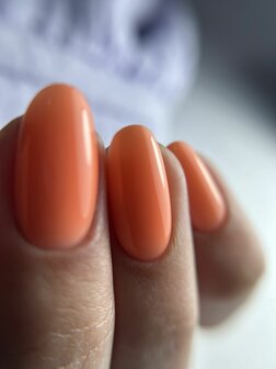 57. Biap Bellini 