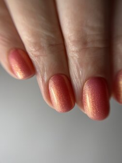 99. Coral Sunset 