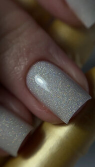 Sparkle Holo Top
