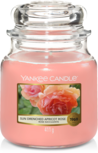 Sun-Drenched Apricot Rose Medium Jar Sun-Drenched Apricot Rose Medium Jar