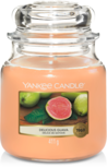 YC Delicious Guava Medium Jar YC Delicious Guava Medium Jar