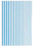 TS STRIPING TAPE NEON BLAUW TS STRIPING TAPE NEON BLAUW