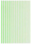 TS STRIPING TAPE NEON GROEN TS STRIPING TAPE NEON GROEN
